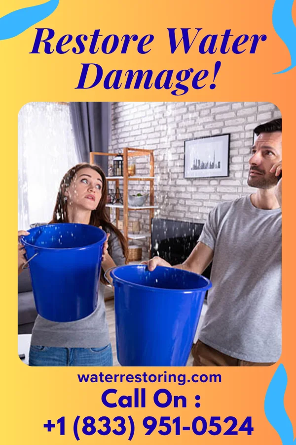 water restoration Mitigation Masters Pine Harbor