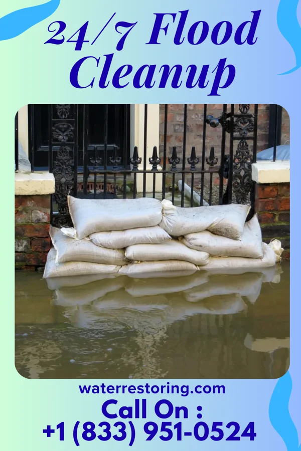 24/7 Flood Cleanup in Pine Harbor, TX