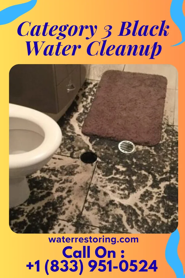 Category 3 Black Water Cleanup in Pine Harbor, TX