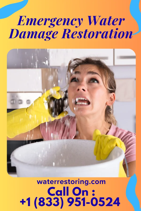 Emergency Water Damage Restoration in Pine Harbor, TX