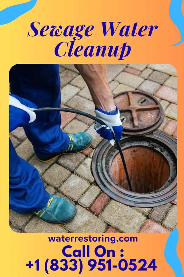Sewage Water Cleanup in Pine Harbor, TX